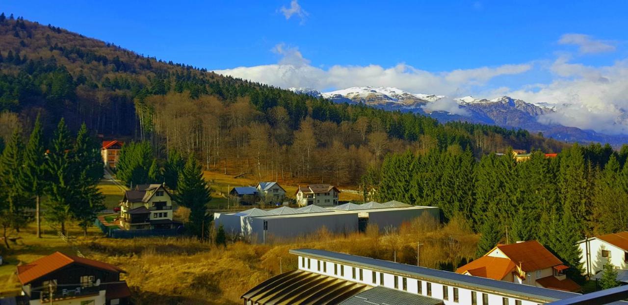 Vintage Home Sinaia Esterno foto